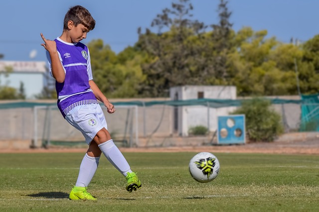 了高超的 了高超的