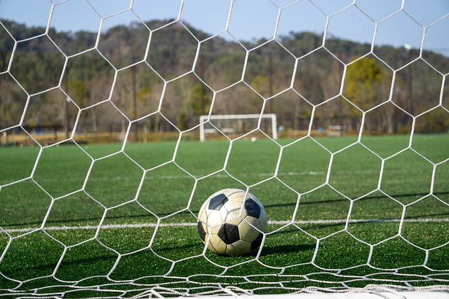 顶尖运动员 顶尖运动员