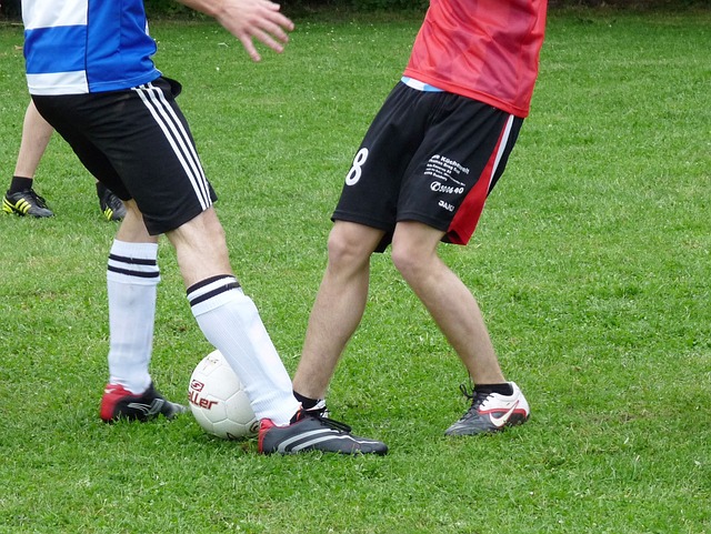 親愛的籃球 親愛的籃球