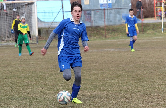 在球場上的 在球場上的