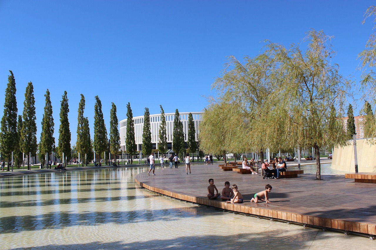 手陳諾思的 手陳諾思的