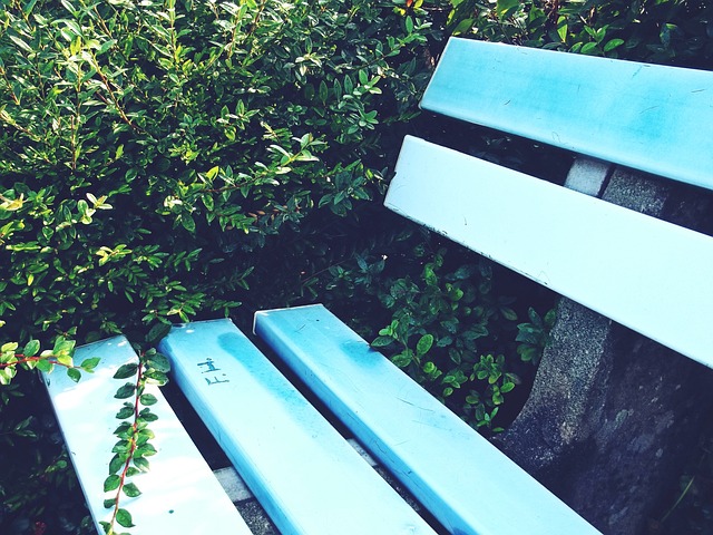 以升班马的 以升班马的