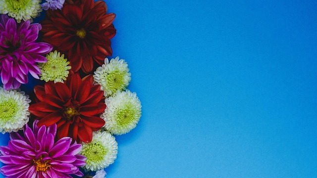 歐冠等高強 歐冠等高強