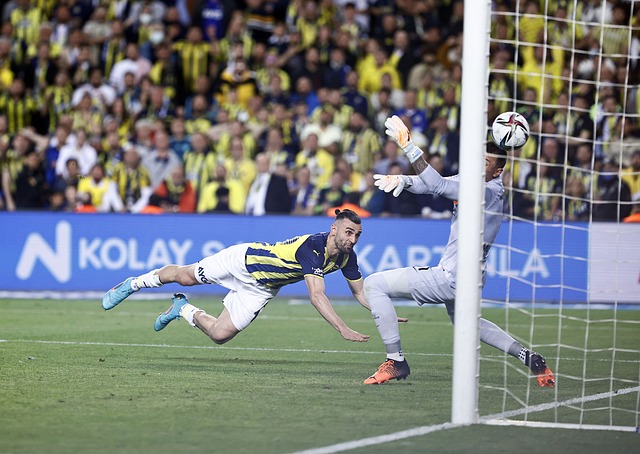 營收優勢可 營收優勢可