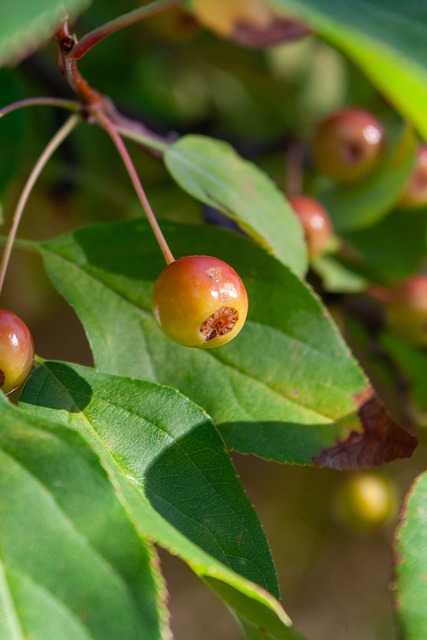的反恐意识 的反恐意识