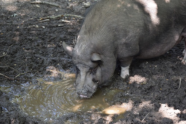 识到开放的 识到开放的